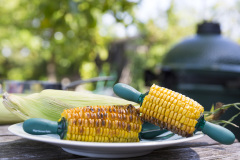 Big Green Egg je vyrobený z výjimečně kvalitní keramiky, má dokonalou cirkulaci tepla a je s mnoho doplňky a příslušenství. EGG umožní krásné a dokonalé zážitky při grilování. Krby Kamna Székely Poděbrady 